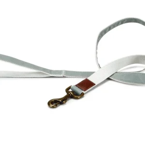 DBL looplijn virante munt groen