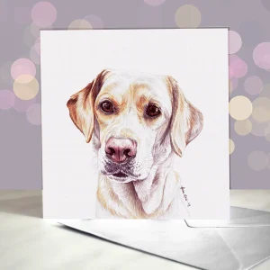 Amber Marie wenskaart hond Labrador geel 15 x 15 cm