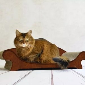 Cat-On Krabmeubel Le Canapé Plus