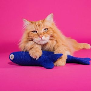 Mimi’s Daughters Freddy The Big Fish Poezenspeeltje