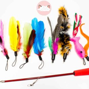 Kattenhengel met 8 verschillende hangers