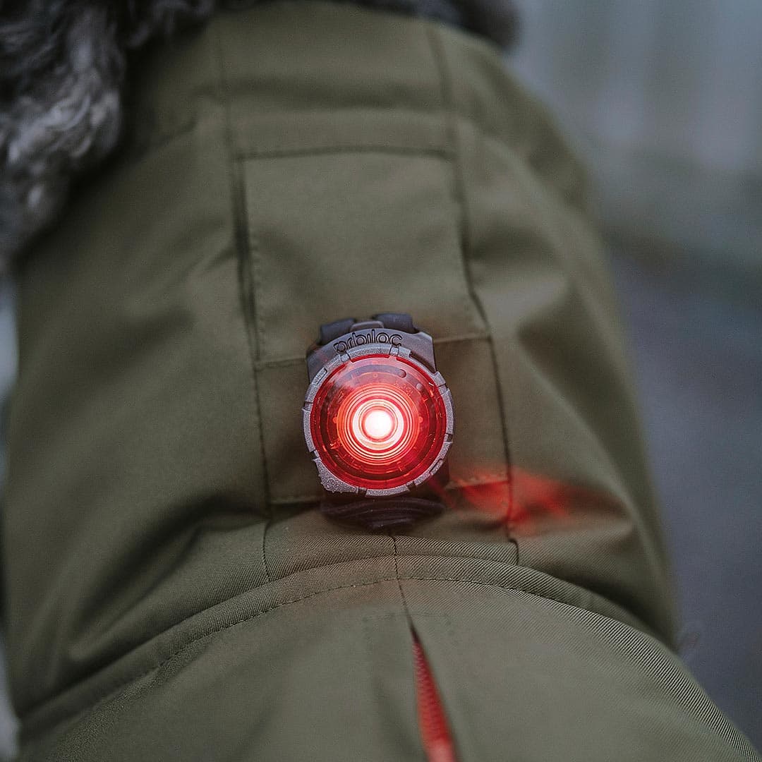 Orbiloc Dog Dual Veiligheidslampje – Rood - Afbeelding 4