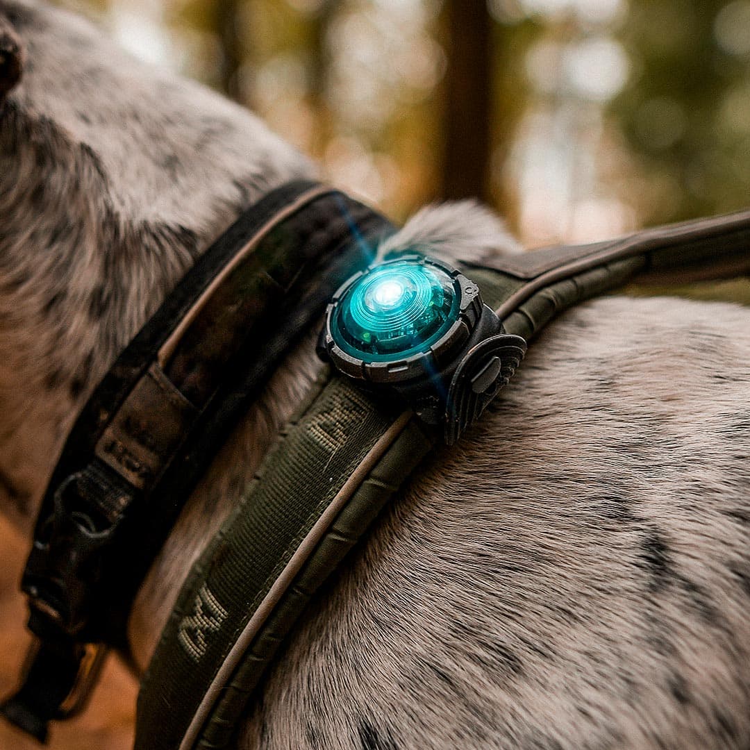 Orbiloc Dog Dual Veiligheidslampje – Turquoise - Afbeelding 4