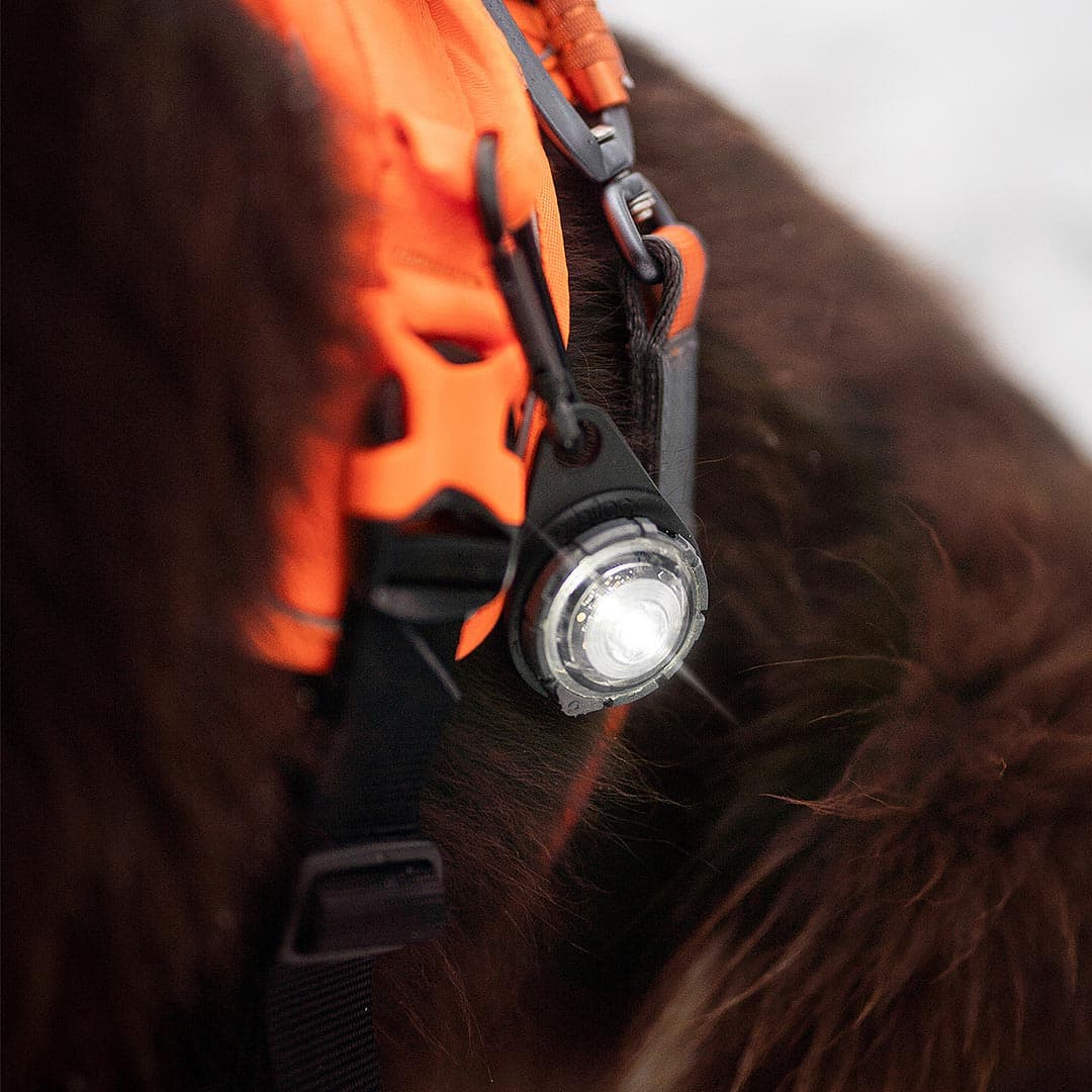 Orbiloc Dog Dual Veiligheidslampje – Wit - Afbeelding 5