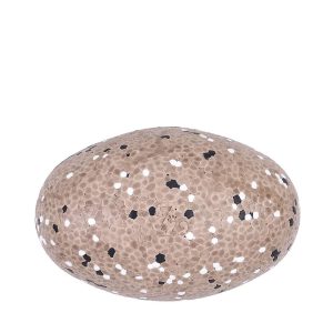 ZippyPaws AirTuff – American Football