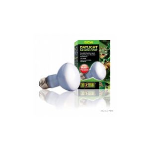 Exo Terra Daylight Basking Spot 50W