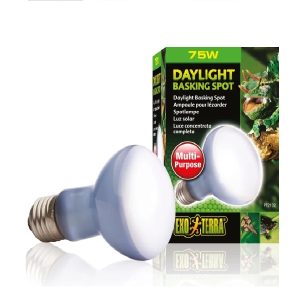 Exo Terra Daylight Basking Spot 75W