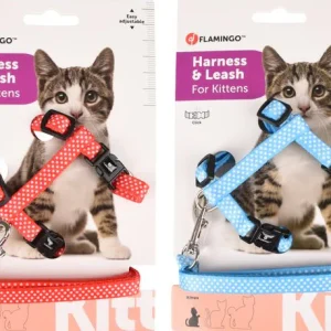 Kittenharnas + lijn Aiwa 15-25cm 1st