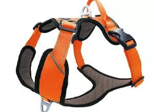 Petlando harnas outdoor oranje