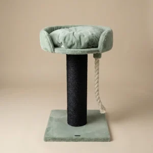 Krabpaal Chartreux Blackline (Pistache Teddy)