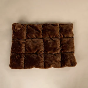 Bruinkleurig Kussen, voor de Lounge Ligplaats